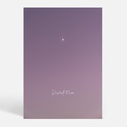 Discreet Moon - Kunstnerisk