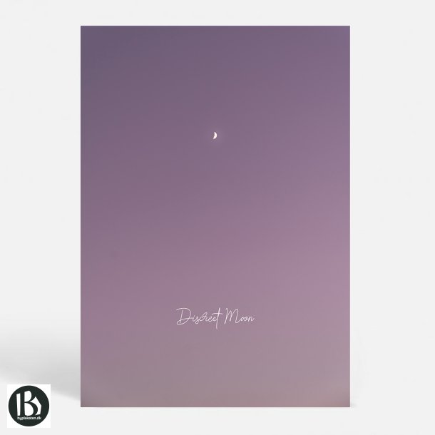 Discreet Moon - Kunstnerisk