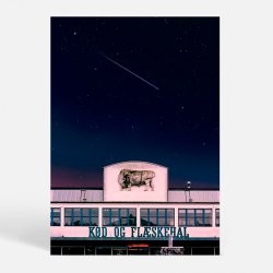 Kbenhavn (1630) - Kunstnerisk - Meatlover