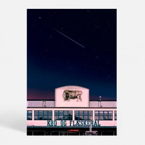 Kbenhavn (1630) - Kunstnerisk - Meatlover