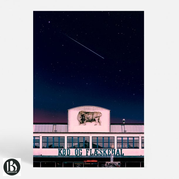 Kbenhavn (1630) - Kunstnerisk - Meatlover