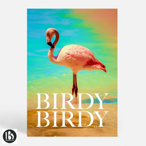 BIRDY BIRDY - Kunstnerisk