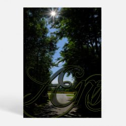 r (5970) - Kunstnerisk - I skovens dybe stille ro