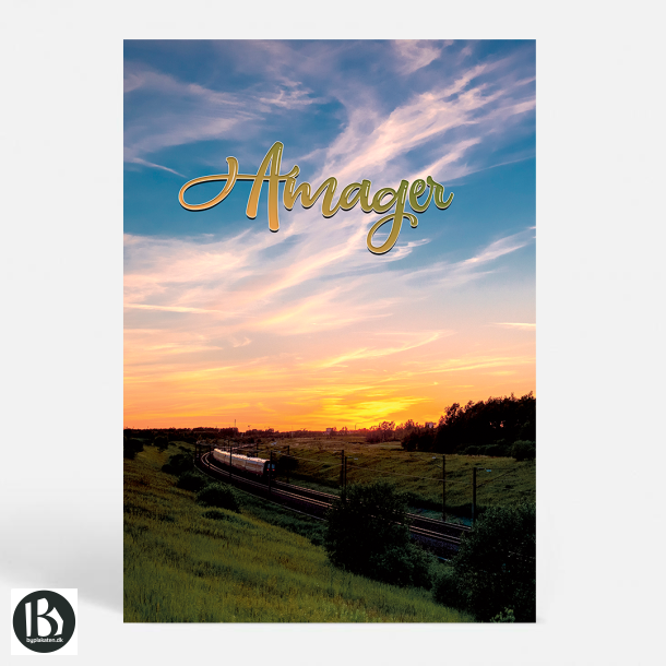 Kbenhavn (2300) - Kunstnerisk - Endestation Ama'r