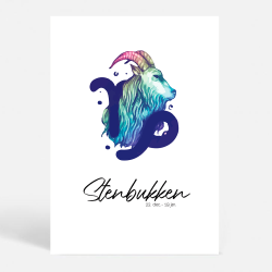 OLDSCHOOL serien - Stenbukken - Stjernetegn