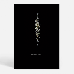 Blossom D - Kunstnerisk