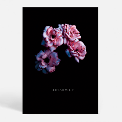 Blossom R - Kunstnerisk