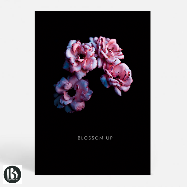 Blossom R - Kunstnerisk