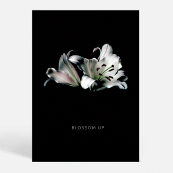 Blossom W - Kunstnerisk