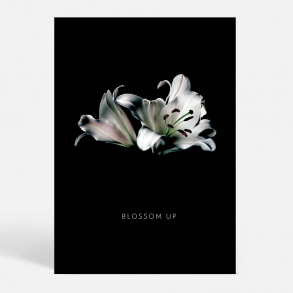 Blossom W - Kunstnerisk
