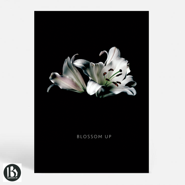 Blossom W - Kunstnerisk