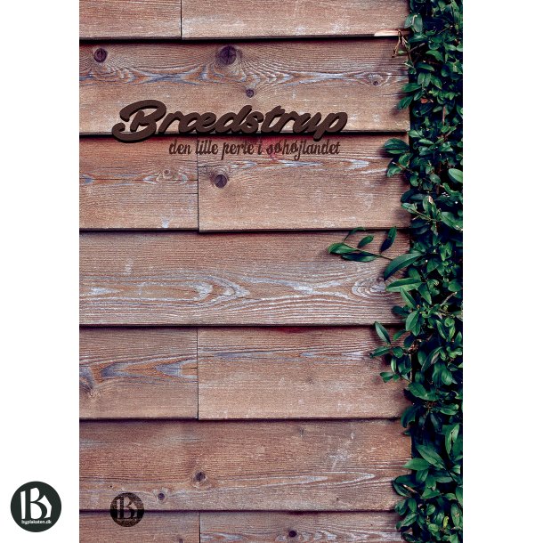 Brdstrup (8740) - Kunstnerisk - Perlen i Shjlandet