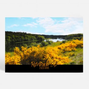 Give (7323) - Kunstnerisk - R�rb�k S�