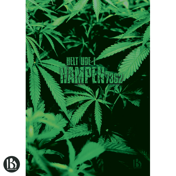 Hampen (7362) - Kunstnerisk - Helt ude