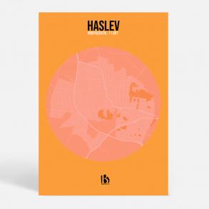 Haslev (4690) - CITYC - Fresh Salmon