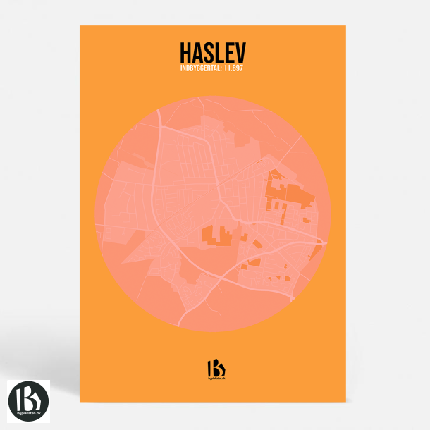 Haslev (4690) - CITYC - Fresh Salmon
