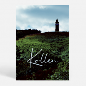 Skanderborg (8660) - Kunstnerisk - Kollen