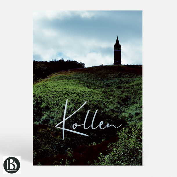 Skanderborg (8660) - Kunstnerisk - Kollen