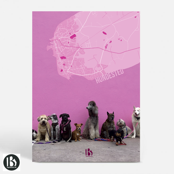 Hundested (3390) - Kunstnerisk - VufVuf