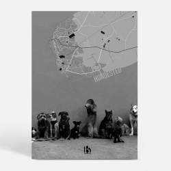 Hundested (3390) - Kunstnerisk - VufVuf SH