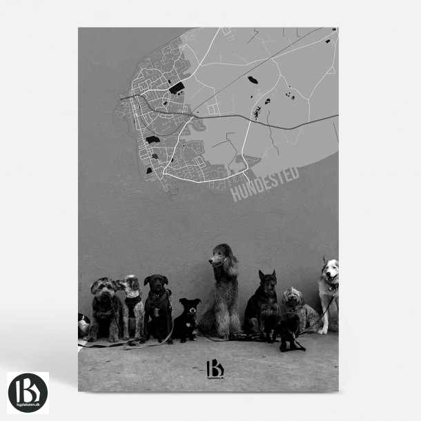 Hundested (3390) - Kunstnerisk - VufVuf SH