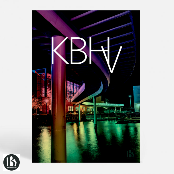 Kbenhavn (1560) - Kunstnerisk - Snakeskin