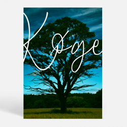 Kge (4600) - Kunstnerisk - Rodfstet