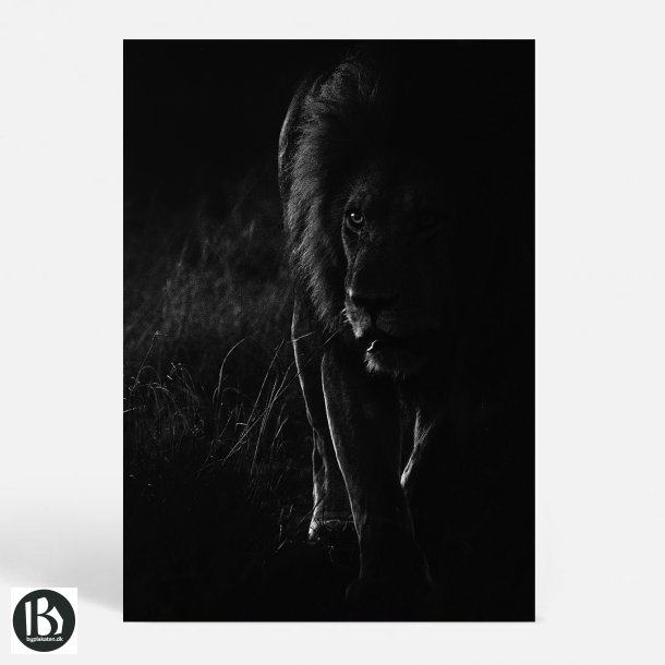 Lion King - Dyremotiver