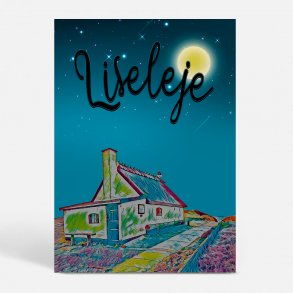 Liseleje (3360) - Kunstnerisk - By Night