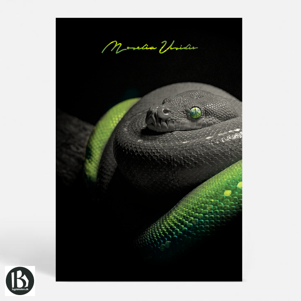 Morelia Viridis - Dyremotiver