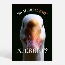 Skal du vre nbbet? - Sjove plakater