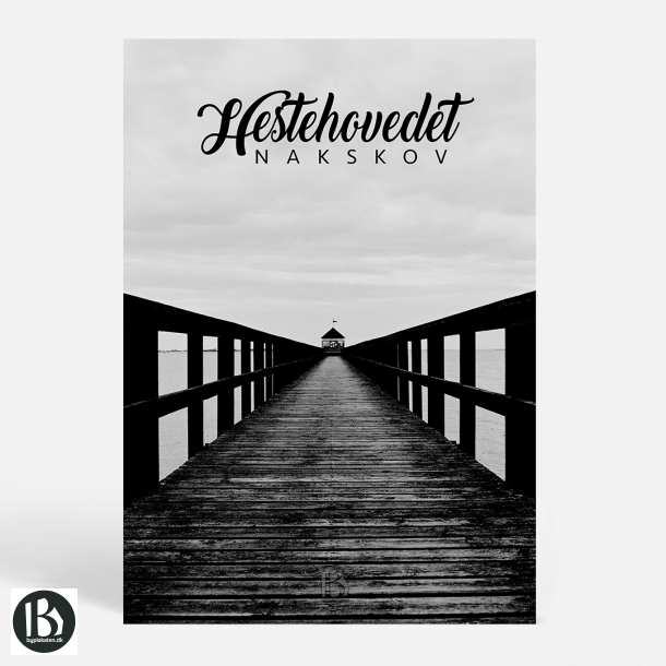 Nakskov (4900) - Kunstnerisk - Hestehovedet