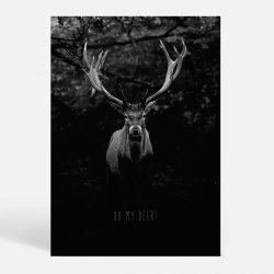 Oh my Deer - Dyremotiver