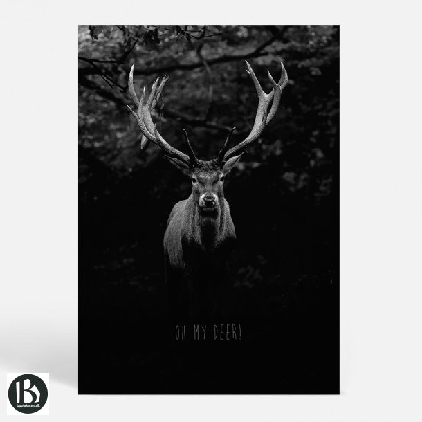 Oh my Deer - Dyremotiver