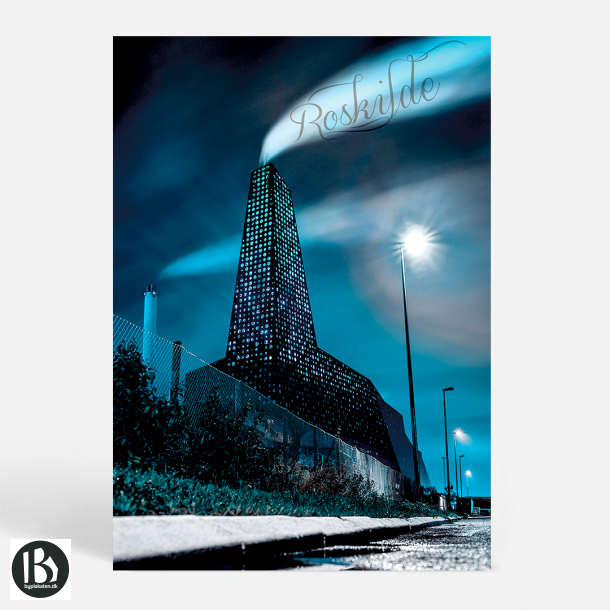 Roskilde (4000) - Kunstnerisk - DiARGOnal