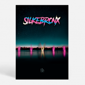 Silkeborg (8600) - Kunstnerisk - THE BRONX