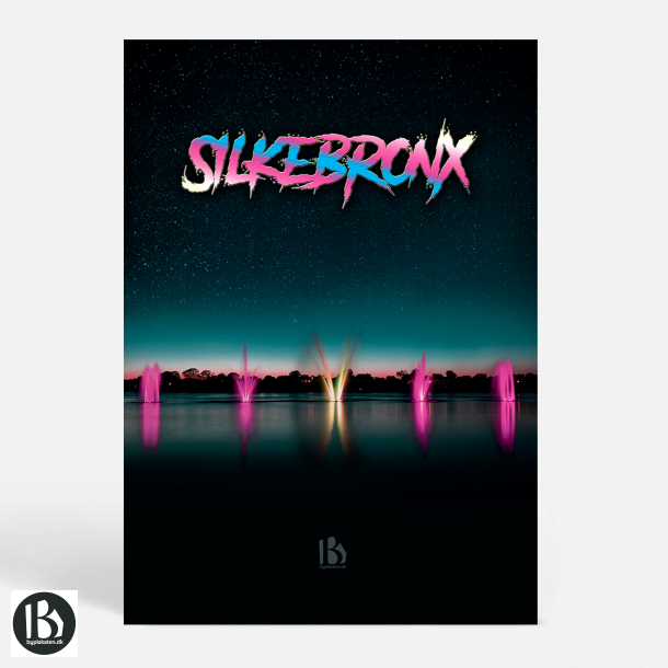 Silkeborg (8600) - Kunstnerisk - THE BRONX