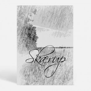 Skrup (7080) - Kunstnerisk - The Ride