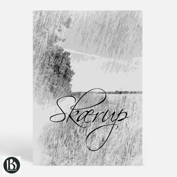 Skrup (7080) - Kunstnerisk - The Ride