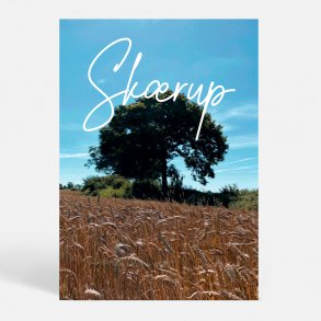 Skrup (7080) - Kunstnerisk - Indsmurt