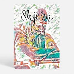 Skjern (6900) - Kunstnerisk - In Colors