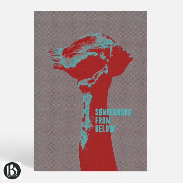 S�nderborg (6400) - Kunstnerisk - From Below