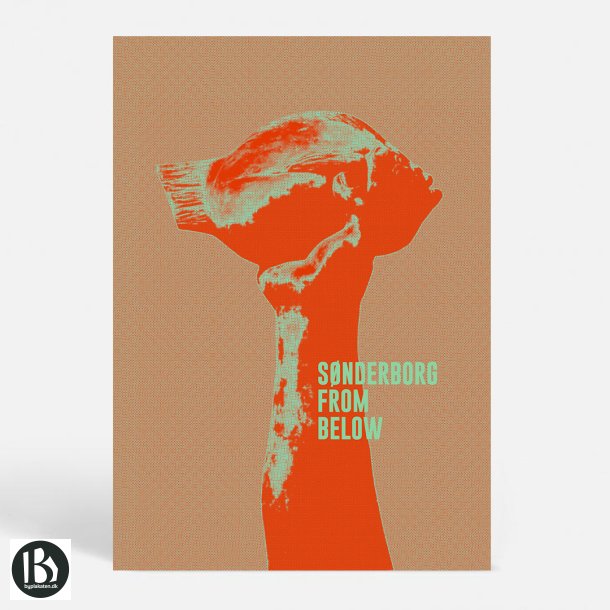 S�nderborg (6400) - Kunstnerisk - From Below c2