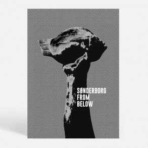 S�nderborg (6400) - Kunstnerisk - From Below c3