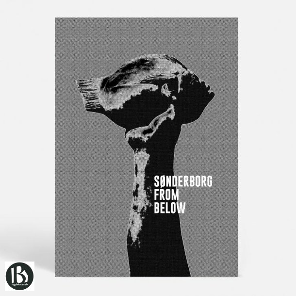 Snderborg (6400) - Kunstnerisk - From Below c3