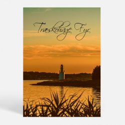 Stouby (7140) - Kunstnerisk - Trskohage by Night