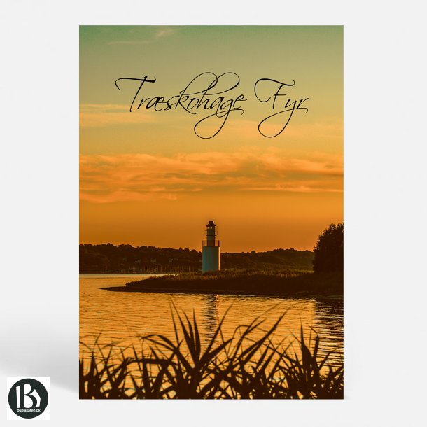 Stouby (7140) - Kunstnerisk - Trskohage by Night