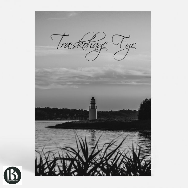 Stouby (7140) - Kunstnerisk - Trskohage by Night (SH)