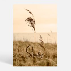 Stouby (7140) - Kunstnerisk - Vindblst