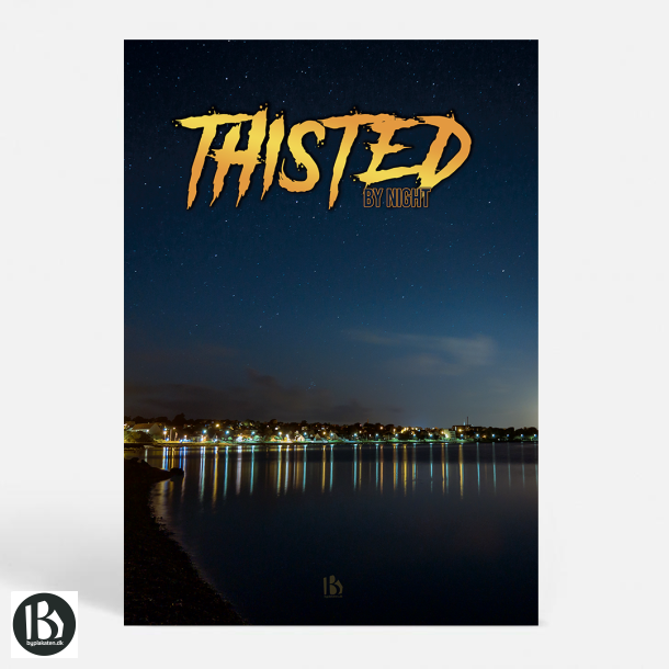 Thisted (7700) - Kunstnerisk - By Night
